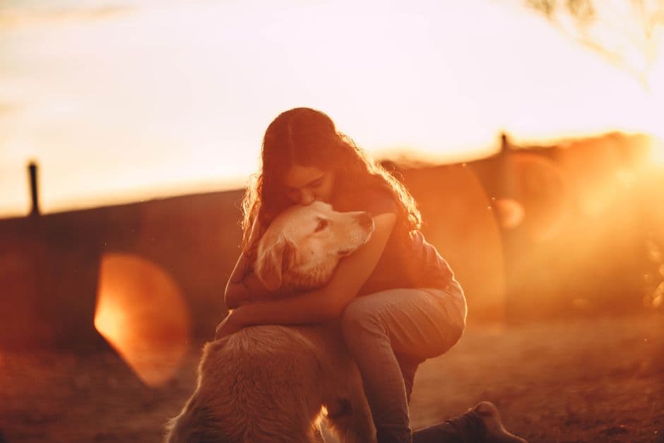 An adopter kneeling in the warm evening light, hugging her rescue dog close.